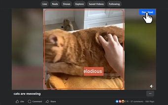 pinayflix vid downloader|ClipSave Facebook Video Downloader .